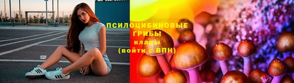 сатива Касимов