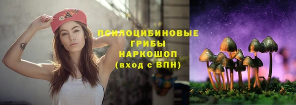 сатива Касимов