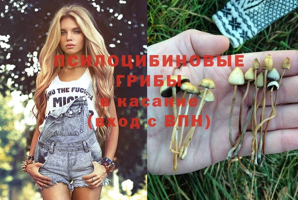крисы Карталы
