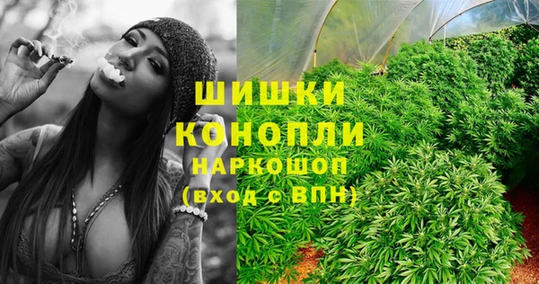 крисы Карталы