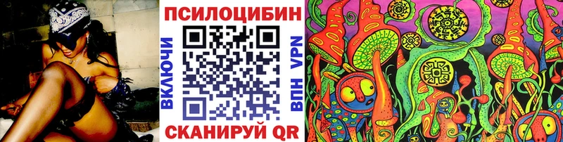 Псилоцибиновые грибы Psilocybine cubensis  Купить закладки  Высоковск 